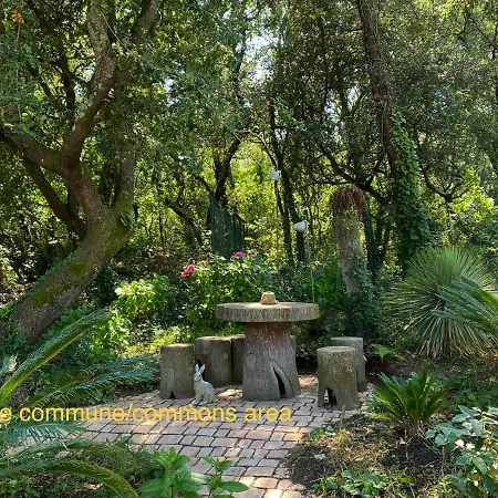 Studio With Beautiful Private Garden On The Forest In Domino Les Sables Vignier Esterno foto