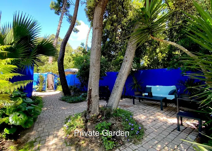 Studio With Beautiful Private Garden On The Forest In Domino
