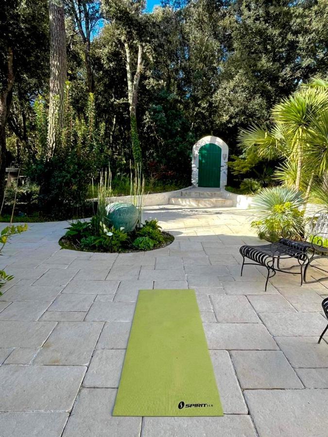 With Beautiful Private Garden On The Forest In Domino Appartement *